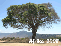 Afrika 2008