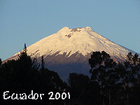 Ecuador 2001