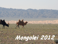 Mongolei 2012